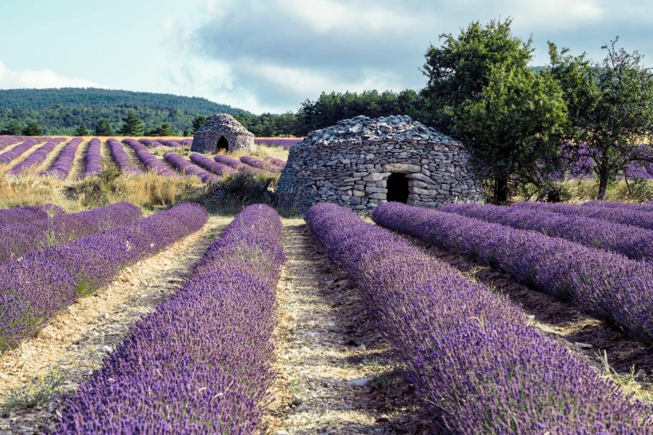 Gite La Bastide De La Loge Au Pied Du Mont Ventoux Sault Exterior foto
